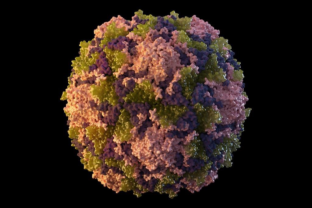 Cas de polio aux États-Unis: des médecins canadiens appellent à la vaccination