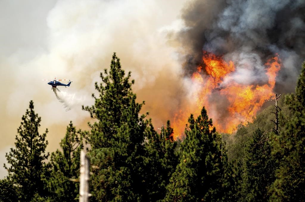 Californie : les pompiers ralentissent un incendie près de Yosemite