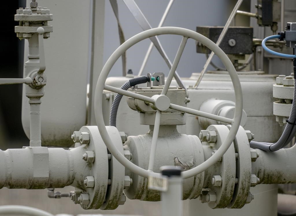 Zelensky et Trudeau ont discuté des turbines envoyées en Allemagne