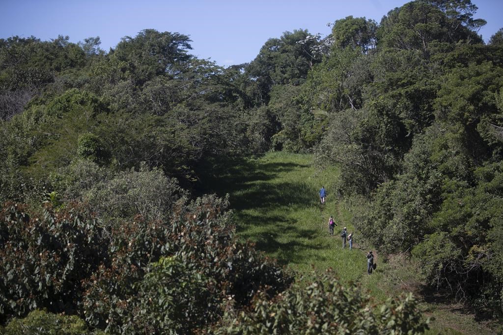 Feux de forêt: très peu d'hectares brûlés au Québec jusqu'ici cette année
