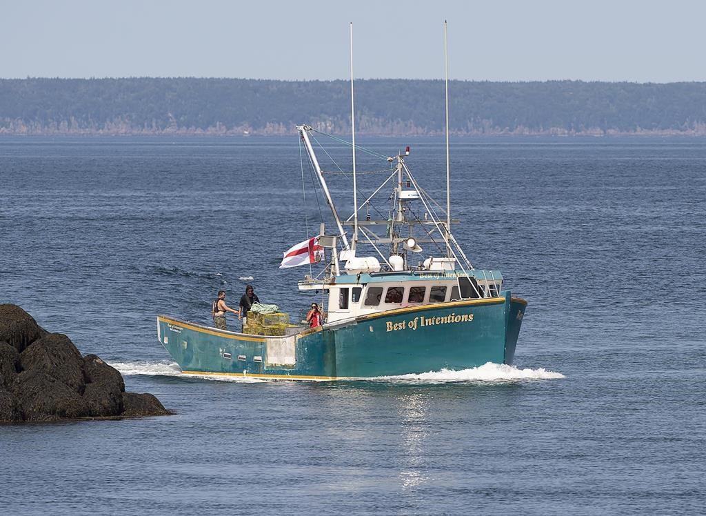 Le Sénat veut une refonte de la politique de pêche fondée sur les droits autochtones