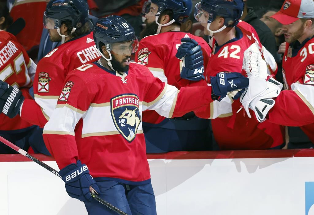 Panthers: L'attaquant québécois Anthony Duclair est opéré au tendon d'Achille