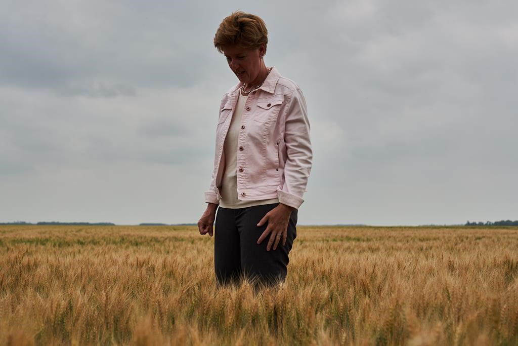 Ottawa et les provinces s'entendent sur un plan quinquennal majeur en agriculture