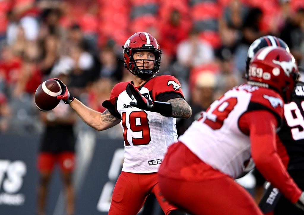 Mills obtient 100 verges au sol et les Stampeders l'emportent 17-3 à Ottawa
