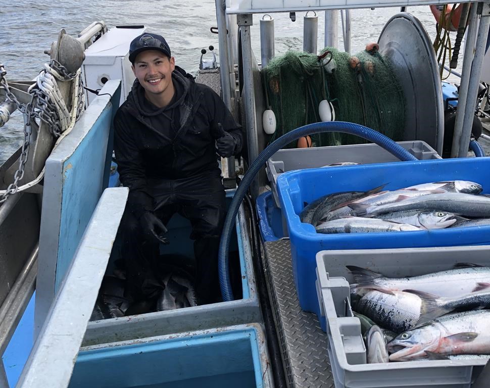 Regain du saumon rose et rouge dans des rivières de la Colombie-Britannique