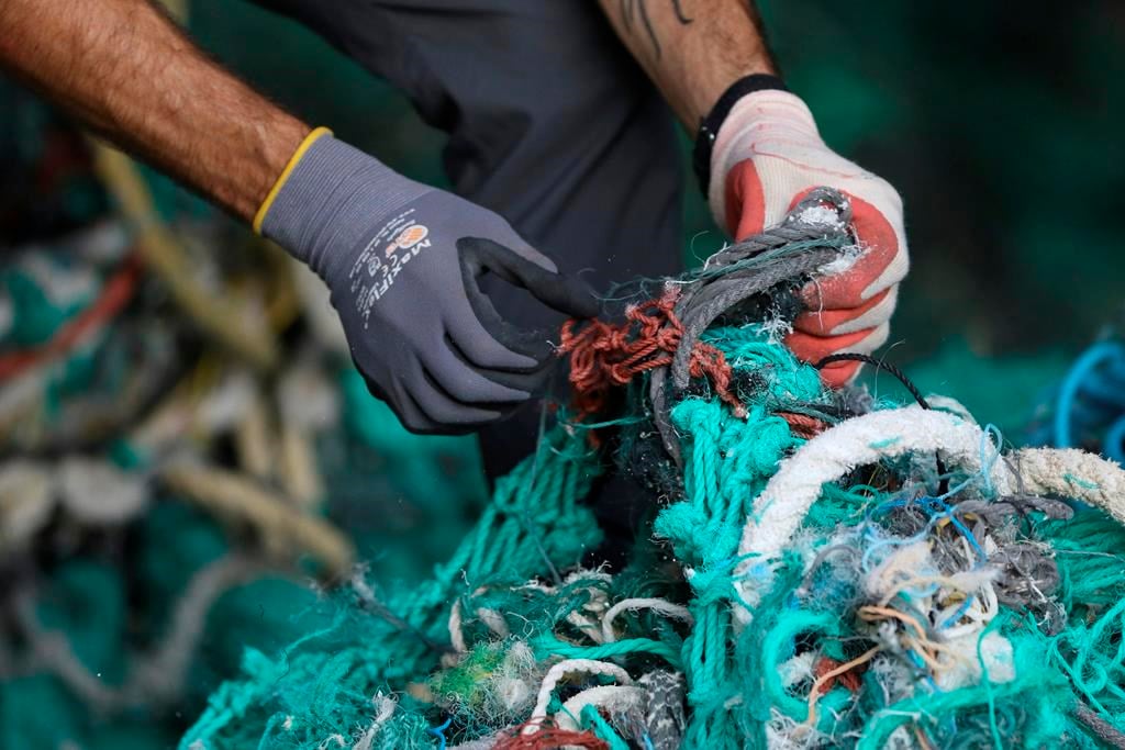 Des engins de pêche sans corde pour la sécurité des baleines testés à Terre-Neuve
