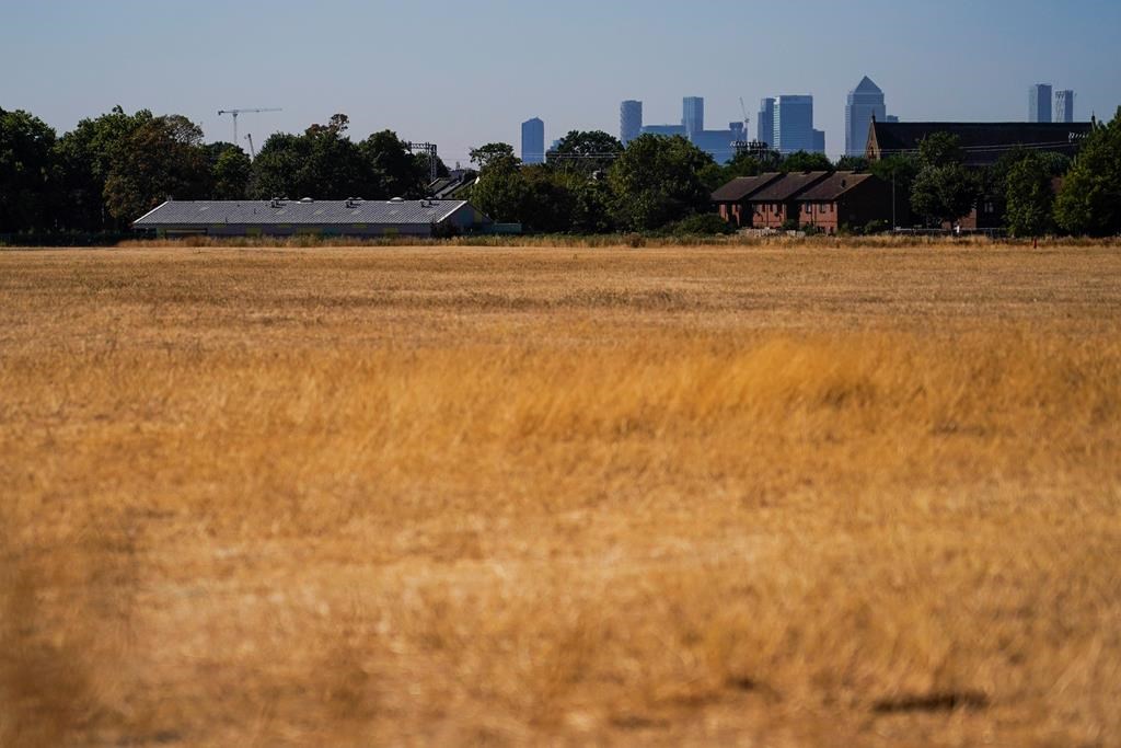 Europe: la sécheresse vide les rivières et tue les récoltes