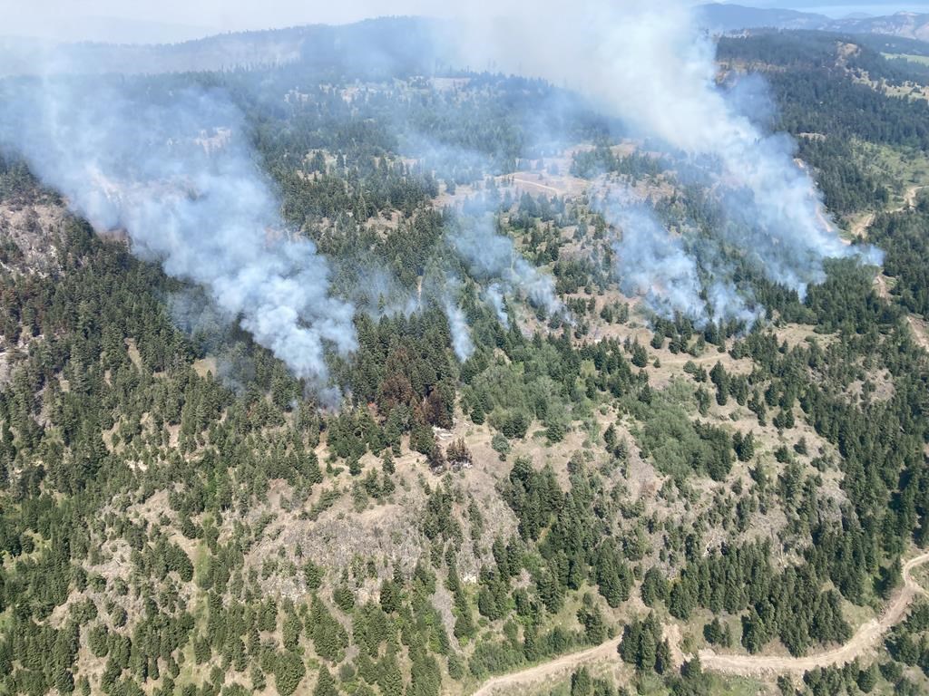 La stabilité de la météo facilite la lutte contre les feux de forêt en C.-B.