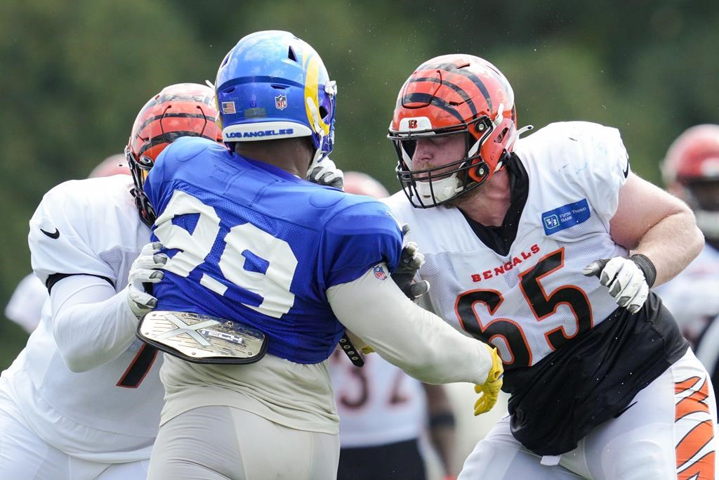 Une mêlée éclate lors d'un entraînement conjoint des Rams et des Bengals