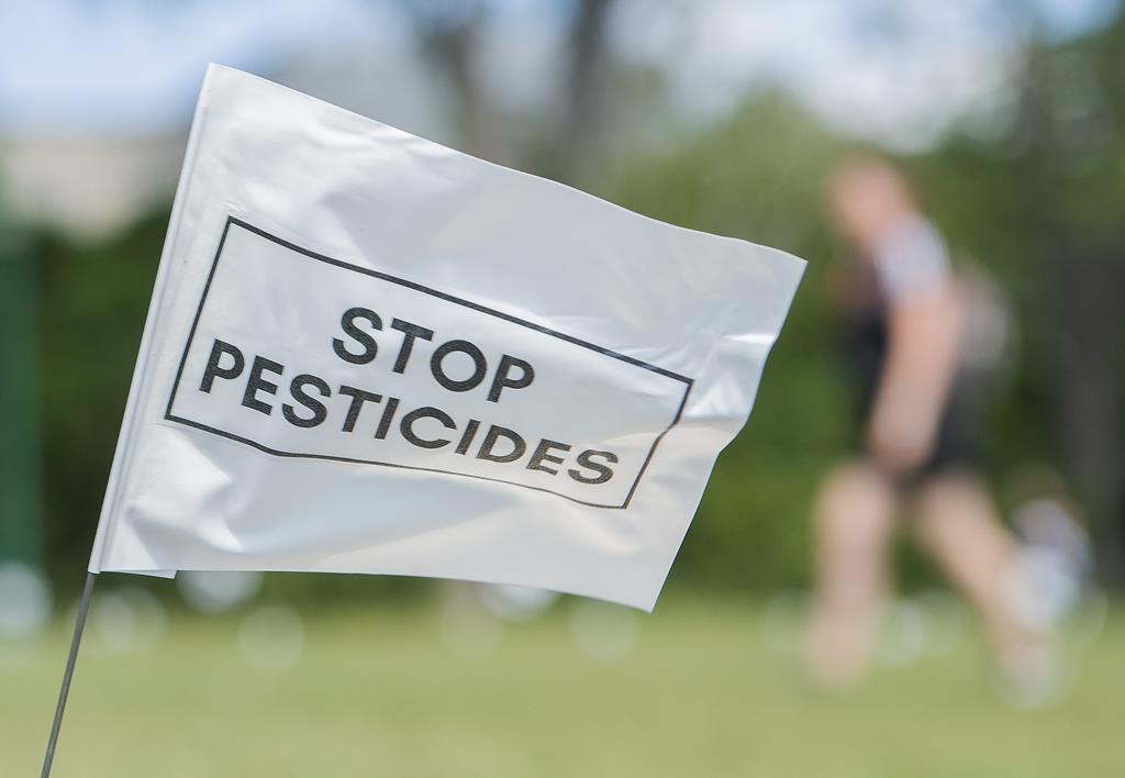 Des pathogènes plus résistants en raison de notre gestion de l'environnement