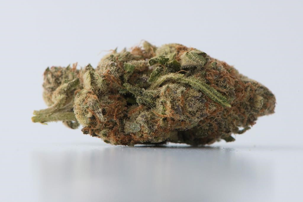 Le rapport sur les vétérans et le cannabis suscite inquiétude et étonnement