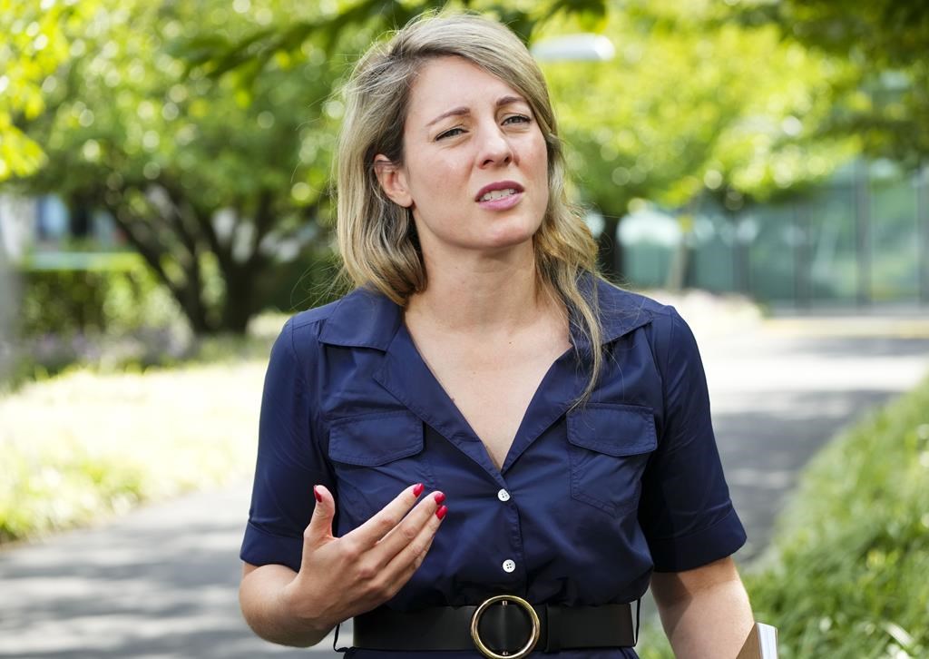Il ne faut pas refuser le visa à des Russes qui pourraient être dissidents, dit Joly
