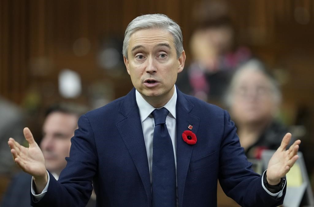 Ottawa restreint la participation étrangère dans les minéraux critiques