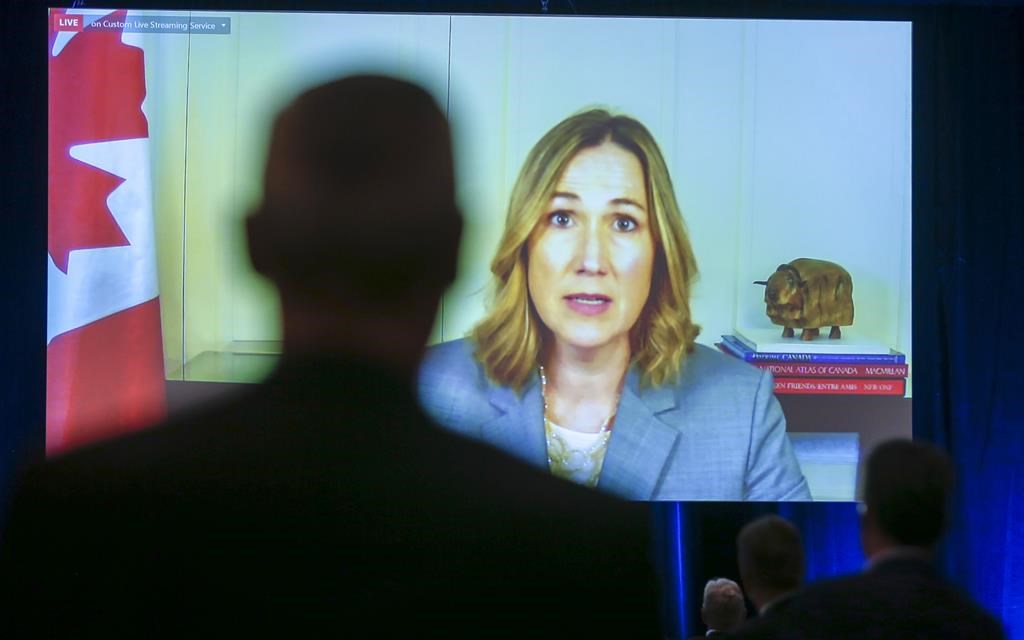 Nexus est «pris en otage» par Washington, estime l'ambassadrice canadienne