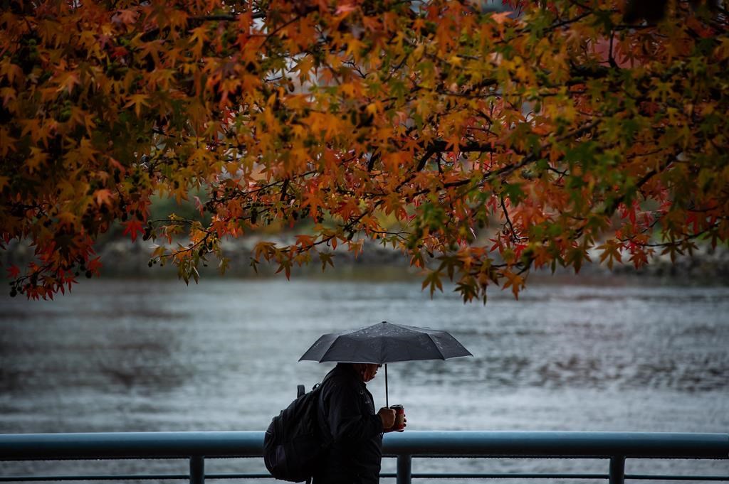 De la pluie tombe enfin sur la région de Vancouver, mais ce ne sera pas assez