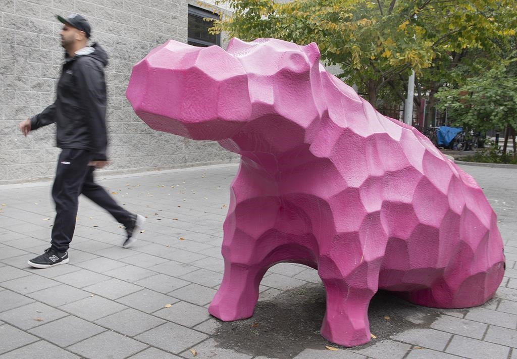 Des travaux routiers permettent de découvrir les restes d'un ancien zoo à Montréal