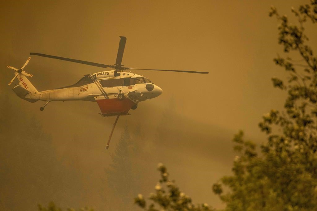 Feux de forêt: très peu de superficie brûlée cette année, selon le bilan de la SOPFEU