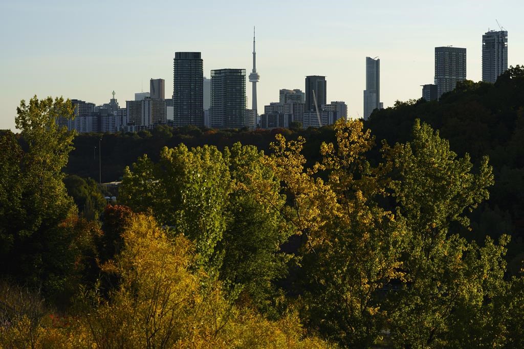 Le vote par anticipation en baisse pour une deuxième fois de suite à Toronto