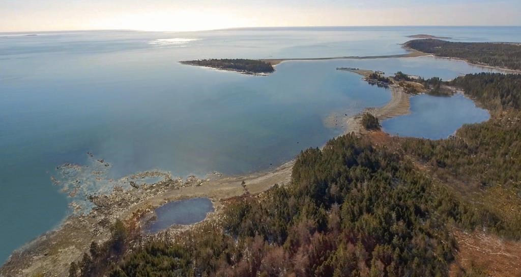 Un projet de sanctuaire pour baleines en captivité rencontre des obstacles en N.-É.