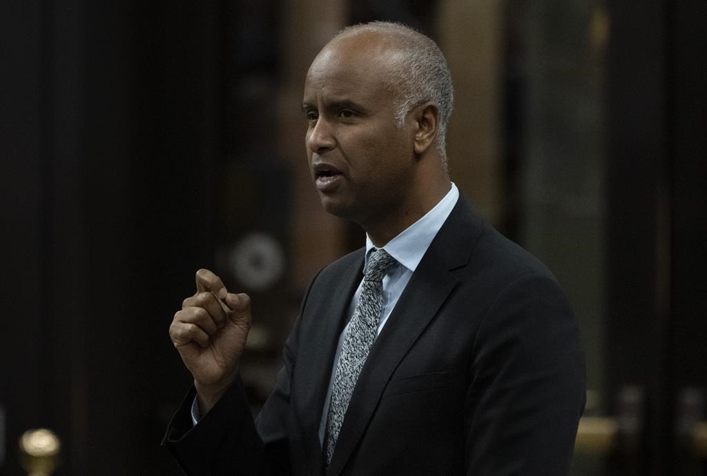 Ottawa lance un appel pour la gestion du Fonds philanthropique dirigé par les Noirs