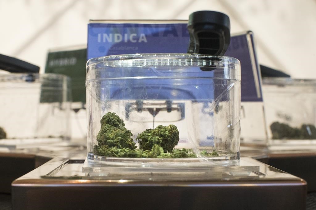 Uber Eats s'associe à Leafly pour permettre la livraison de cannabis à Toronto