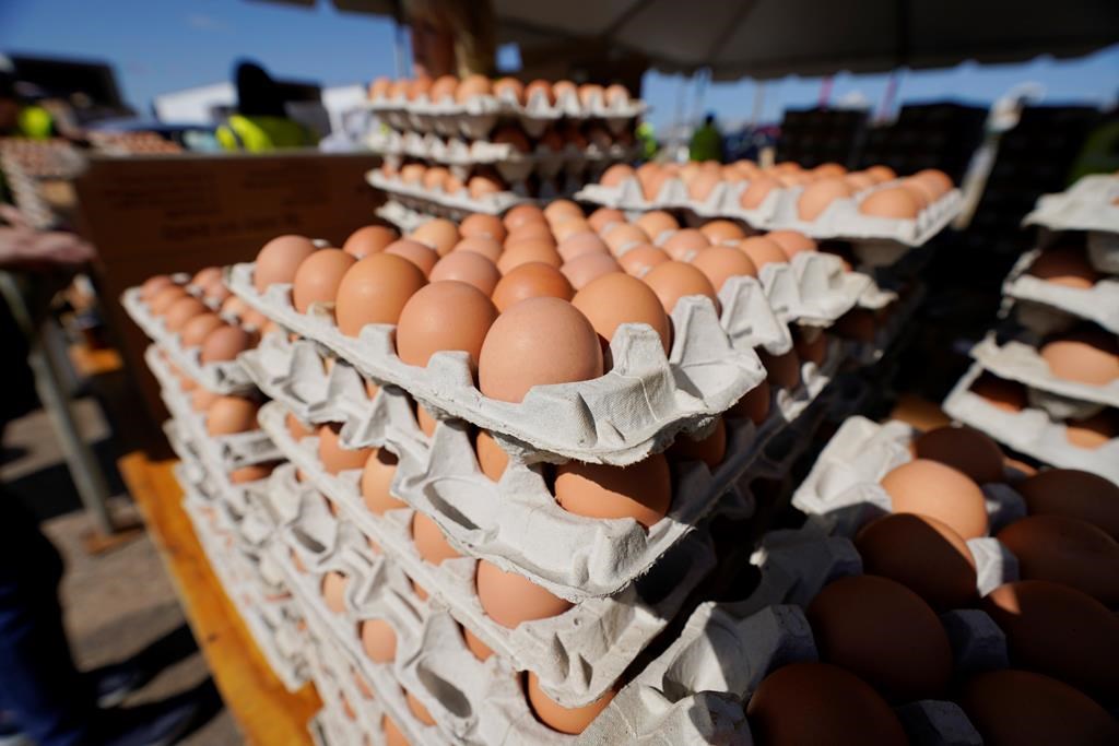 Les familles démunies peinent à se nourrir sainement