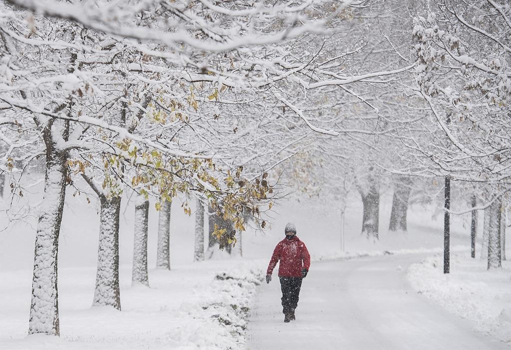 Préparez vos pelles: l'hiver sera rude et riche en tempêtes