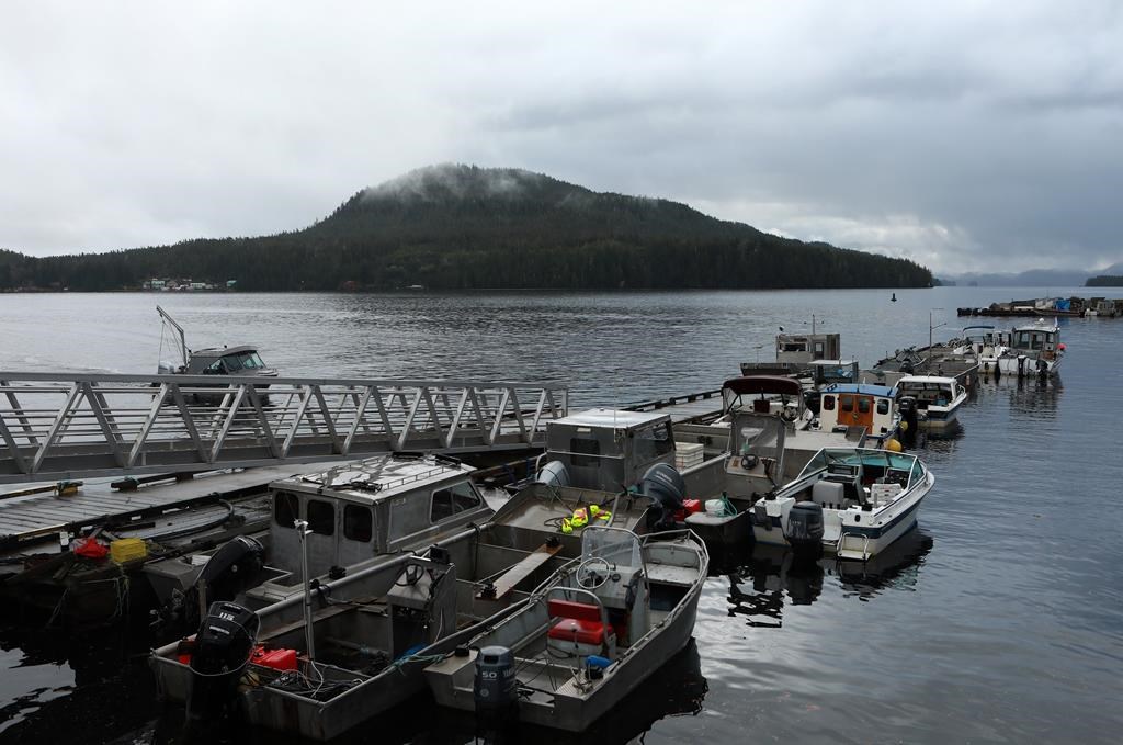 Deux tremblements de terre ont eu lieu près de l'île de Vancouver