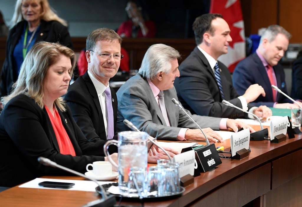 Un élection partielle se déroulera dans Mississauga-Lakeshore le 12 décembre