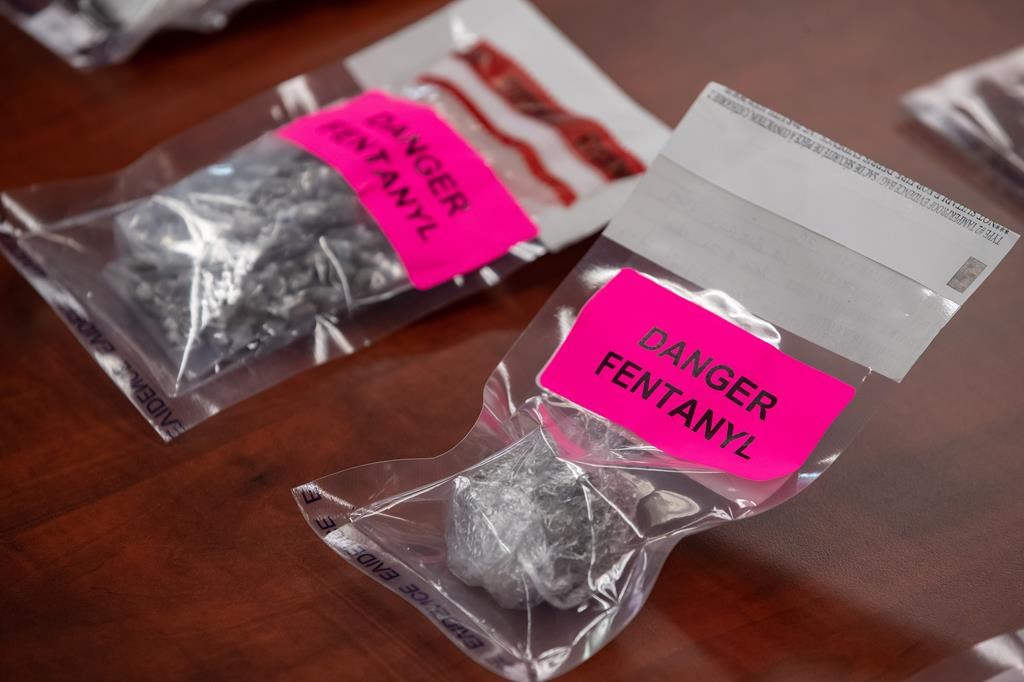 Le taux de mortalité lié aux opioïdes en Ontario a baissé en 2022
