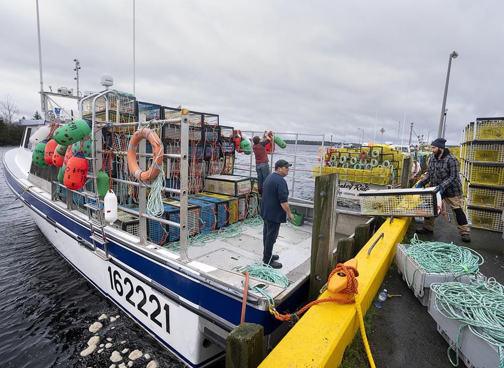 Report de l'ouverture de la pêche au homard en N.-É, la plus lucrative du Canada