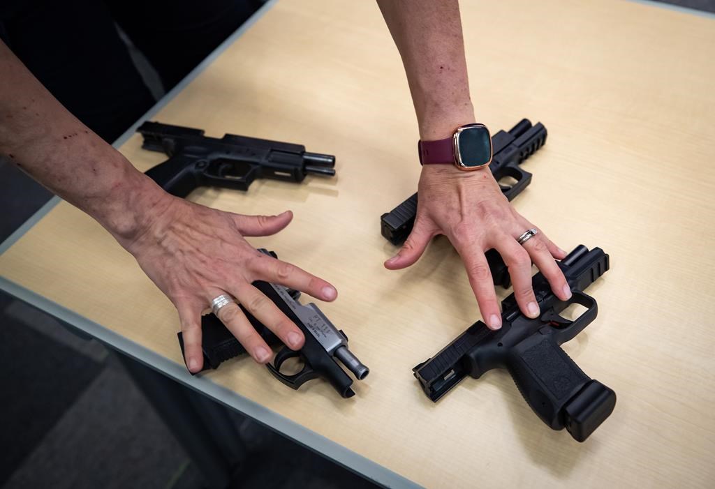 La «mesure drapeau rouge» du projet de loi sur les armes est critiquée par des femmes