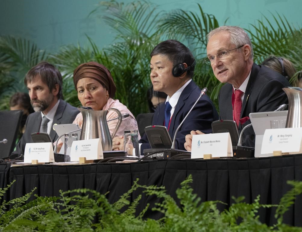 Le temps presse à la COP15, mais un «déficit de confiance» mine les discussions