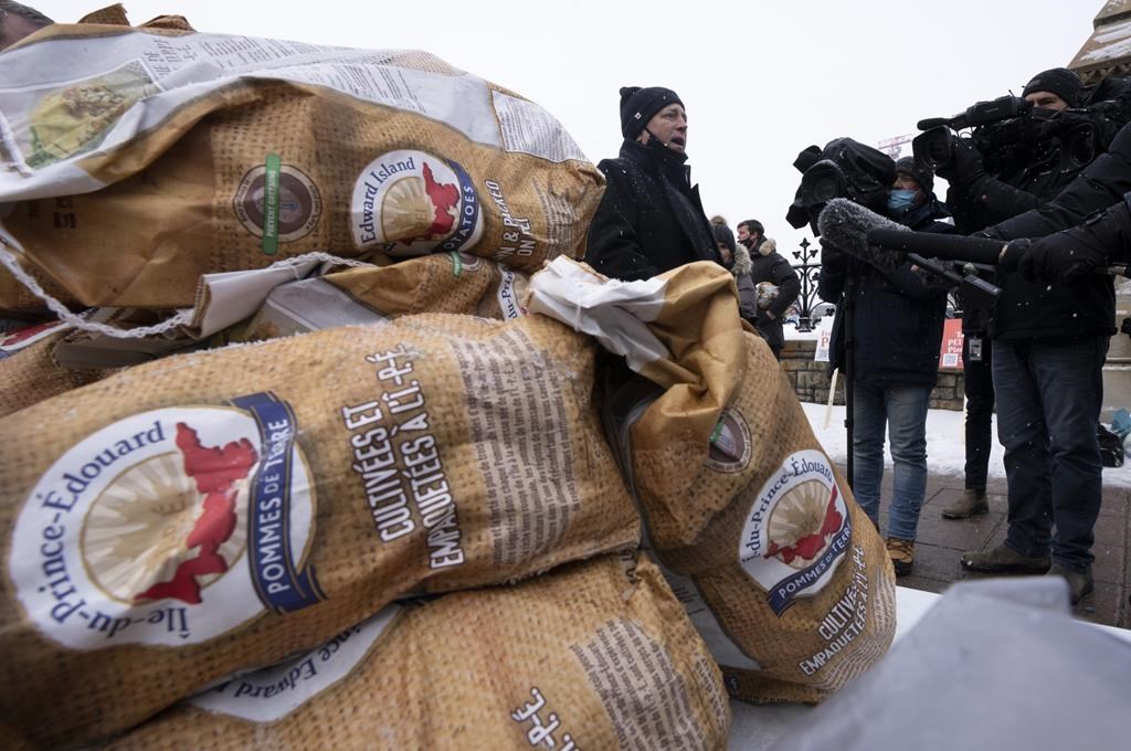 Récoltes de pommes de terre au Canada en 2022: forte contribution de l'IPÉ