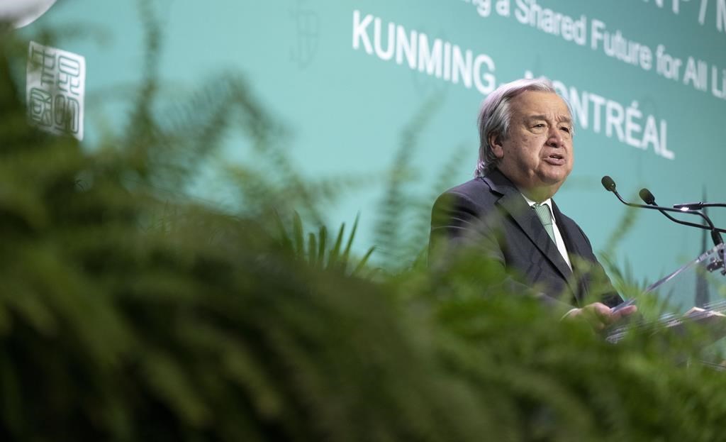 Des problèmes de visas empêchent d'entendre des voix autochtones à la COP15