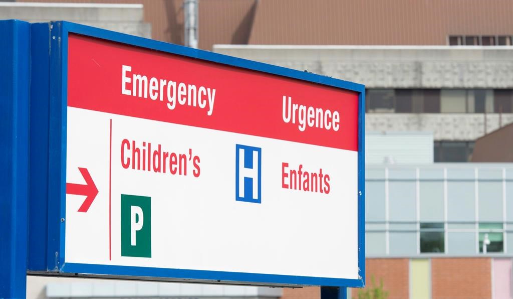 Virus infantiles: réunion des premiers ministres sur les difficultés des hôpitaux