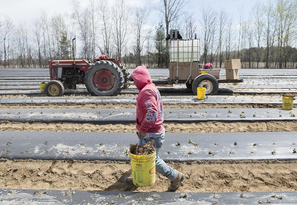 Une étude montre un taux élevé d'accidents de travail chez les immigrants à Montréal