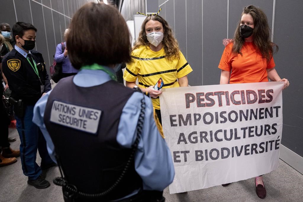 Le ministre Steven Guilbeault admet que les progrès sont lents à la COP15