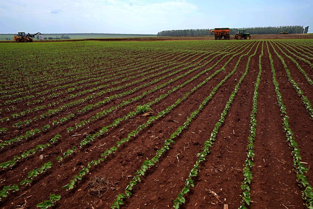 Biosolides importés des États-Unis: ordres professionnels québécois préoccupés