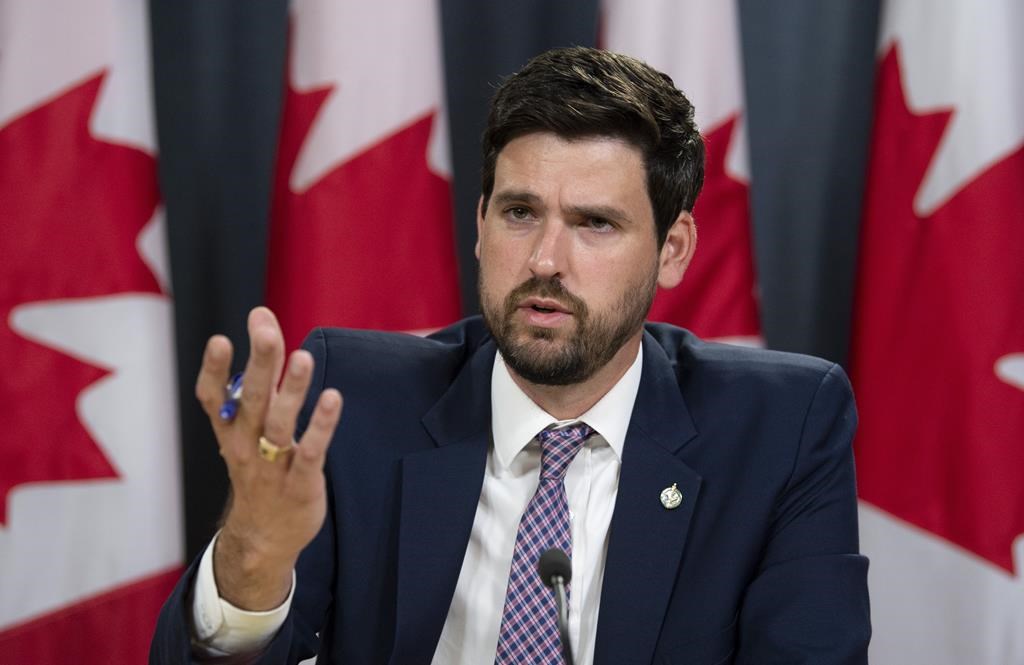 Immigration francophone hors Québec:nécessaire pour la «cohésion sociale», dit Fraser