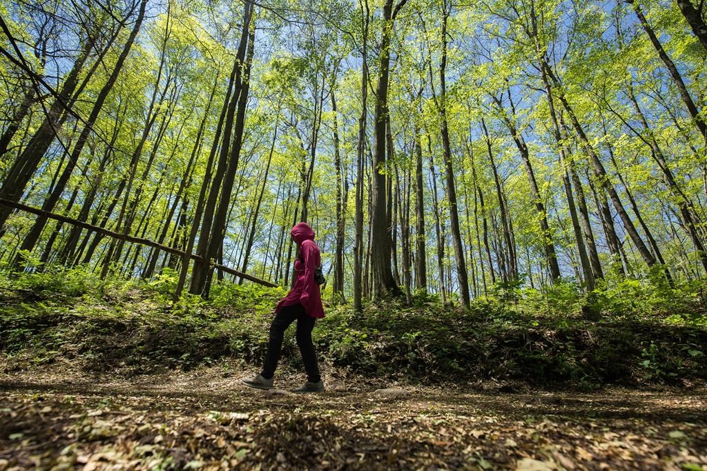 Steven Guilbeault est inquiet pour la «Ceinture de verdure» en Ontario