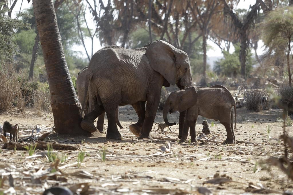 Crédits de biodiversité : monnayer la nature pour éviter son déclin