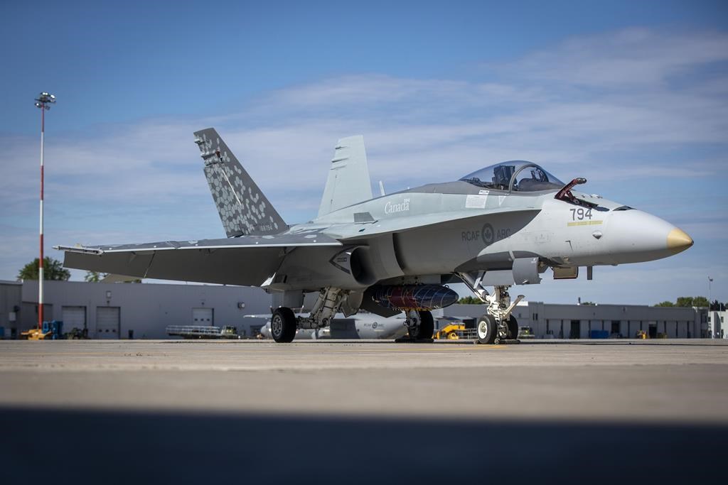 Les deux officiers de l'armée de l'air blâmés sont réintégrés