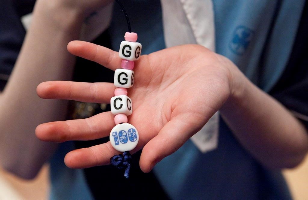 Les Guides du Canada proposent deux noms pour remplacer les «Brownies»