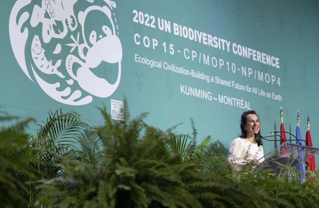 Les villes jouent un rôle important dans la protection de la biodiversité