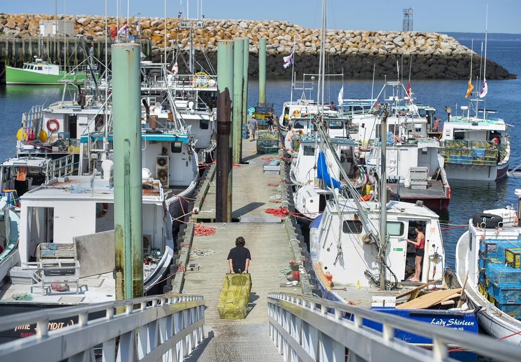 Le conflit concernant la pêche au homard autochtone continue malgré quelques progrès