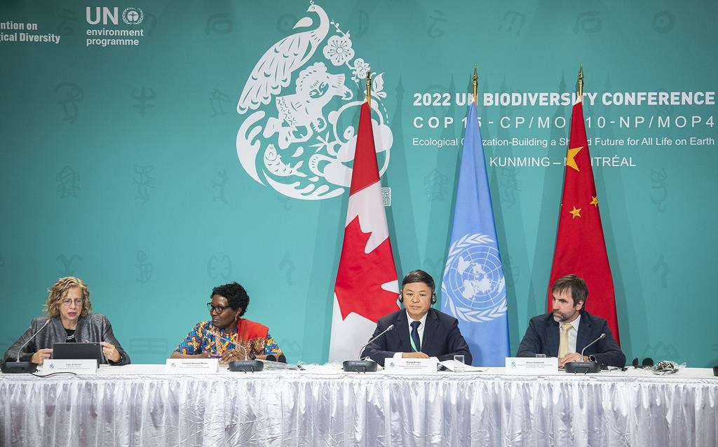 Les négociations difficiles commencent à la COP15 de Montréal