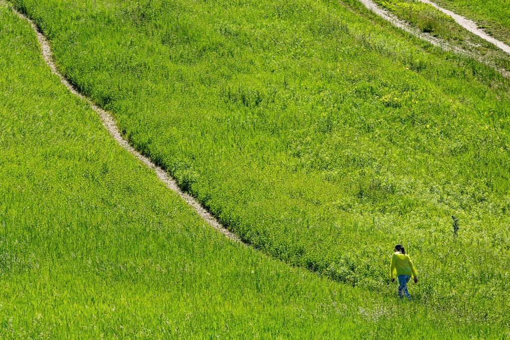 Deux enquêtes lancées concernant les changements apportés à la Ceinture de verdure