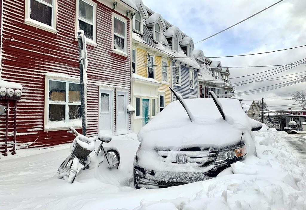 T.-N-L.: les habitants de St-John's dans la neige jusqu'au genou dimanche