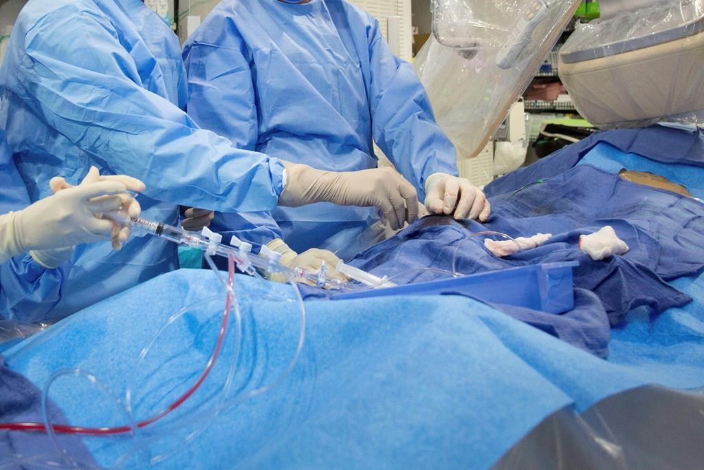Hôpital du Sacré-Coeur: une première en hémodynamie au Québec